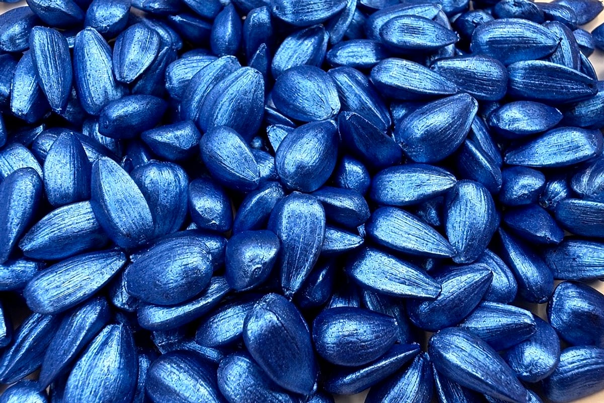 Sunflower seeds with blue pearlescent seed coating